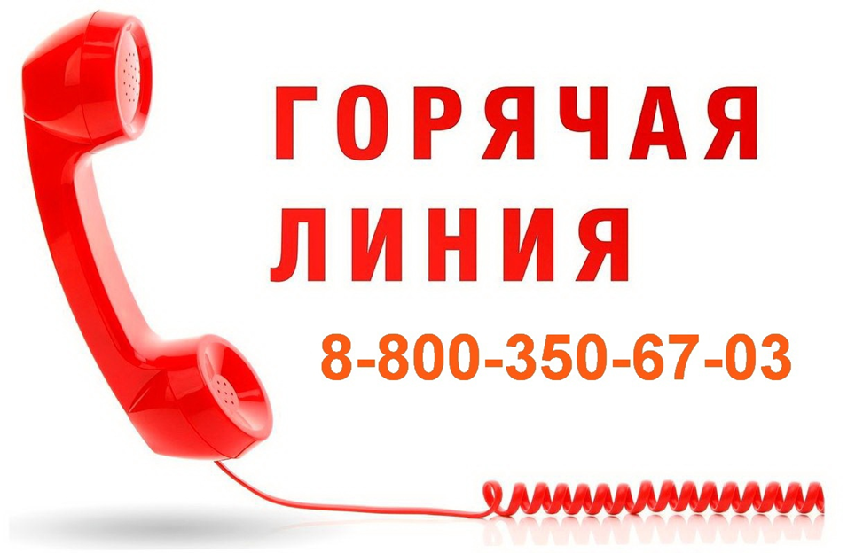 На базе регионального Общественного штаба по наблюдению за выборами начал свою работу бесплатный телефон горячей линии   8-800-350-67-03