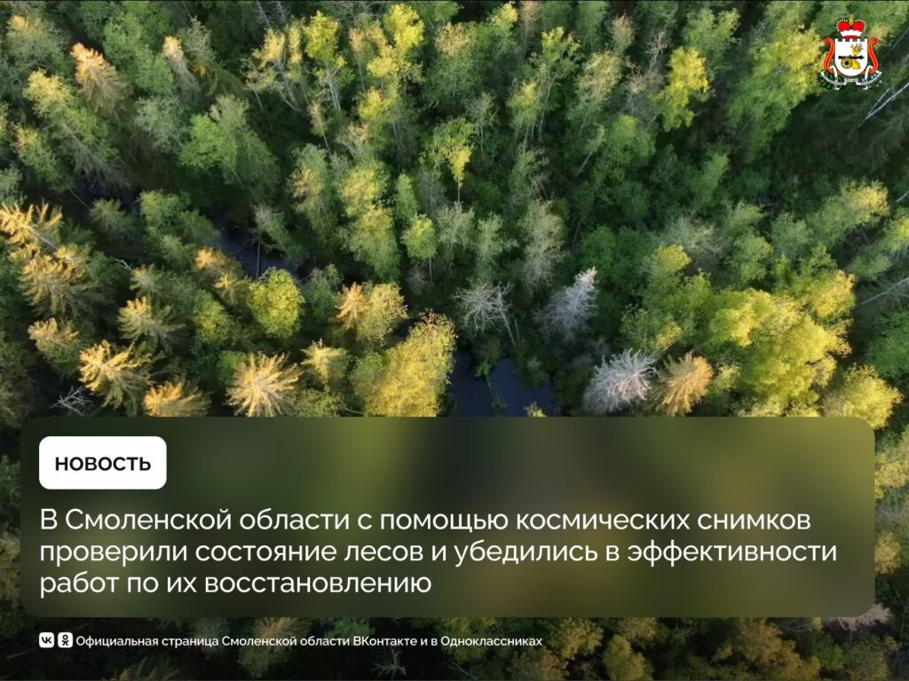 Где в Смоленской области появятся новые леса?