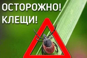 КАК УБЕРЕЧЬСЯ ОТ ВОЗМОЖНОГО УКУСА КЛЕЩА?